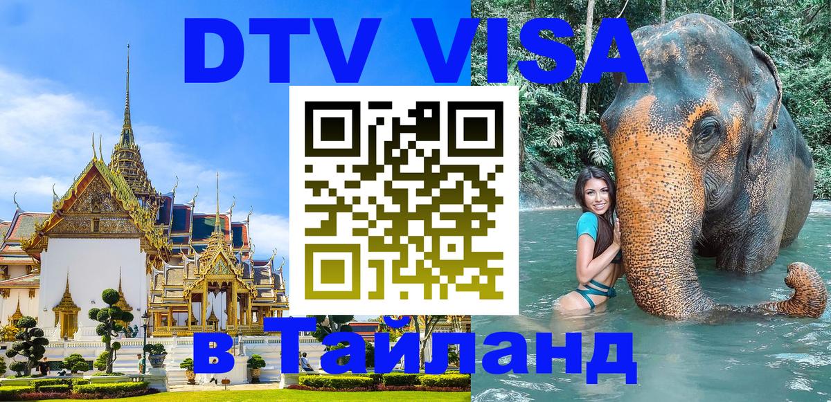 Сколько стоит DTV виза — актуальные цены, оформление даже без документов - 19.11.2025 